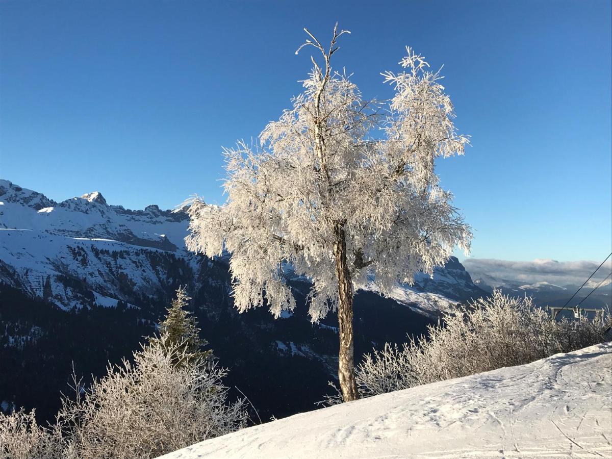 Luxury 2 Bedroom Apartment With View Of Mont Blanc Combloux Exterior foto